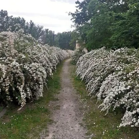 Dalla Rossa * Montelupo Fiorentino