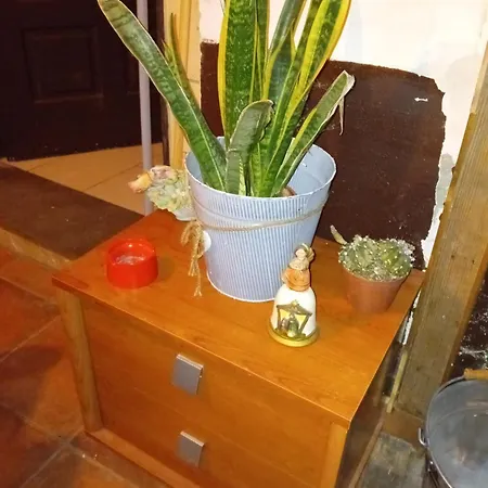 Apartment Dalla Rossa